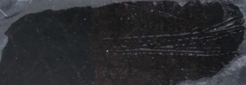 Terre d'ombre noir