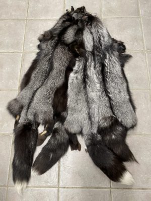 Peau de renard argenté