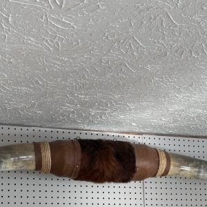 Corne de longhorn texas